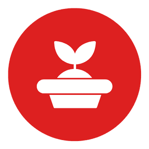 The SOL Education Luyện thi IELTS sĩ số nhỏ, CHẤT LƯỢNG CAO
